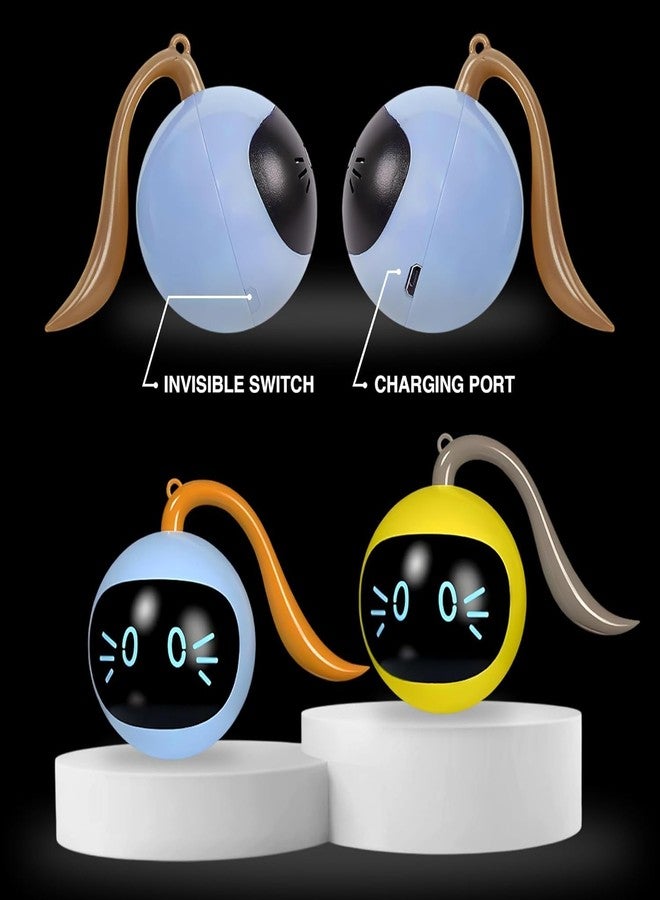 WIDRIA TR Tinsrom Interactive Cat Toy - USB Rechargeable for Kittens & Toys for Cats by TR Tinsrom - Image 5